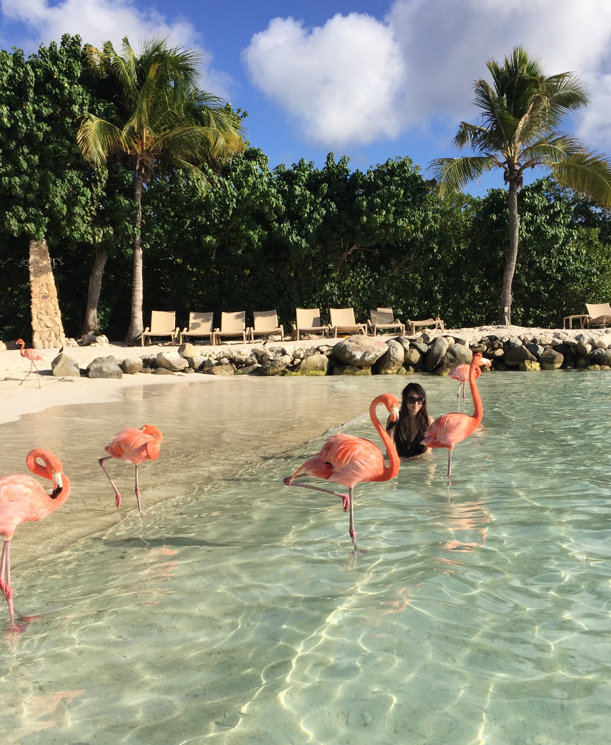 Pink paradise perfection